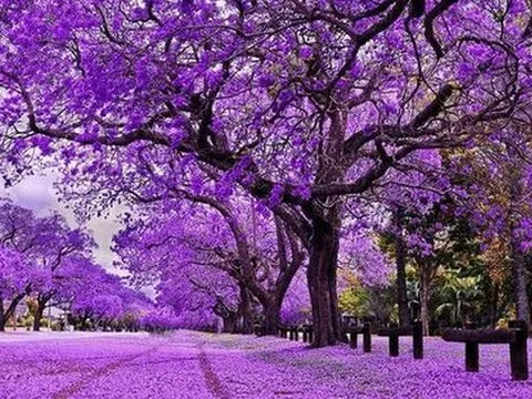 Cổ phiếu ngân hàng đồng loạt tăng kịch trần sáng 10/4, trắng bên bán