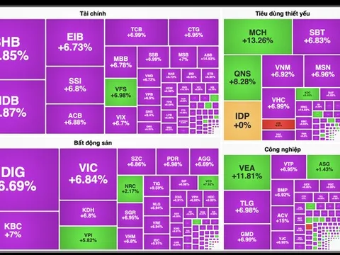Gần 700 cổ phiếu tăng kịch trần, thanh khoản xuống thấp nhất 5 năm