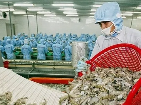 Mỹ hoãn áp thuế 90 ngày: Doanh nghiệp thủy sản đề xuất ‘nóng’