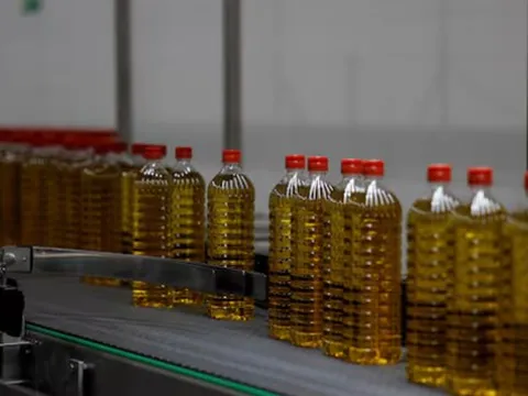 Hoãn áp thuế đối ứng, Tây Ban Nha lập tức đẩy mạnh xuất khẩu một mặt hàng sang Mỹ: Sản lượng chiếm 40% của thế giới, Mỹ chốt đơn đều đặn 180.000 tấn mỗi năm