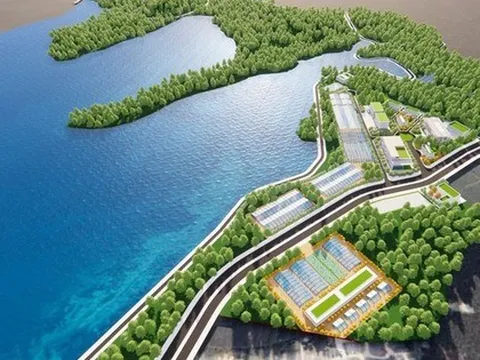 Việt Nam sắp xây dựng Khu lâm nghiệp ứng dụng công nghệ cao đầu tiên rộng 618ha
