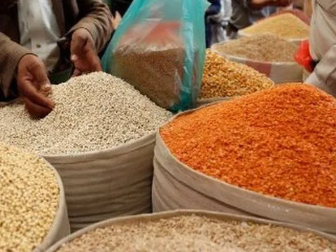 Mỹ tăng mạnh đưa mặt hàng ít quen thuộc này vào Việt Nam: nhập khẩu đột biến hơn 700%, đạt kỷ lục trong 5 năm qua