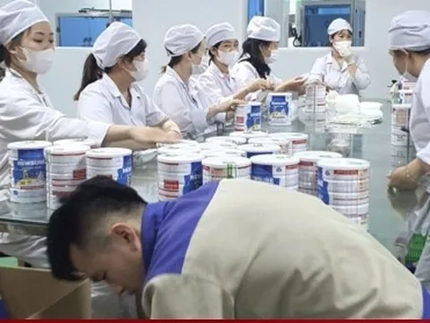 Danh sách 9 công ty trong đường dây sản xuất gần 600 loại sữa giả