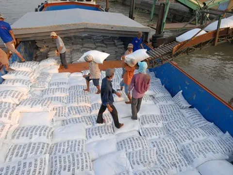 Thị trường xuất khẩu gạo lớn nhất của Việt Nam có diễn biến mới