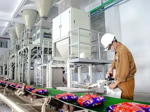 Cổ phiếu DGC được dự báo tăng 20% trong thời gian tới