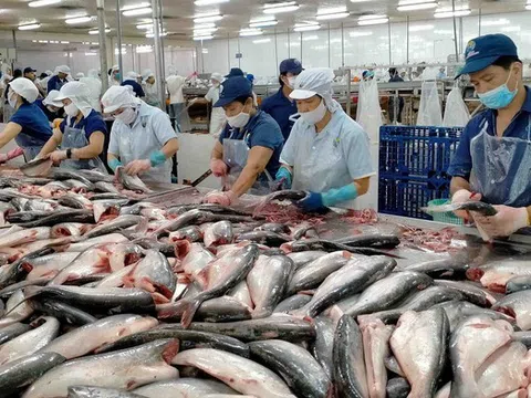 Mở rộng đối tượng vay gói tín dụng 100.000 tỷ đồng trong lĩnh vực nông, lâm, thuỷ sản