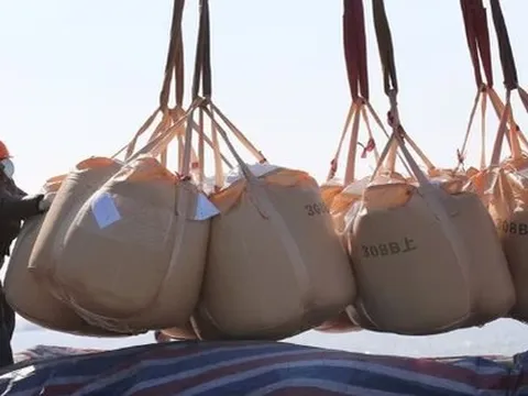 Sản lượng Việt Nam đứng thứ 8 thế giới vẫn ồ ạt nhập trăm triệu USD mặt hàng này từ Mỹ - các 'đại bàng' cũng đang đua nhau rót vốn đầu tư