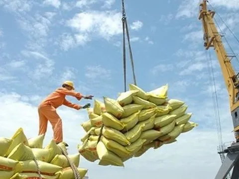 Gạo Việt xuất khẩu lấy lại vị thế ‘đắt giá nhất thế giới’