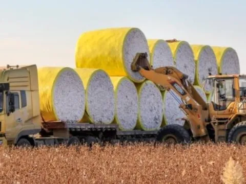 Trung Quốc siết nhập khẩu từ Mỹ: Nhiều mặt hàng chủ lực giảm tới 90%, có sản phẩm về 0