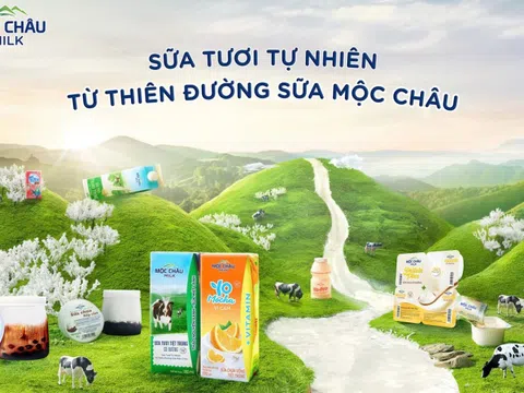 Chìa khóa để Mộc Châu Milk vươn mình mạnh mẽ