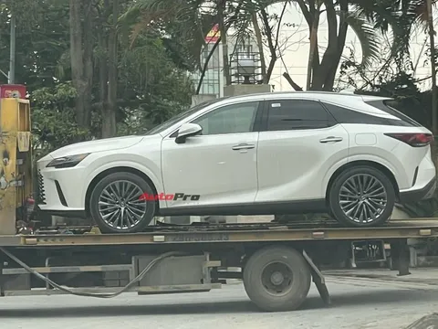 Lexus RX 350h 2025 đã về Việt Nam: Tinh ý mới thấy điểm khác bản xăng, dễ thêm công nghệ, máy tiết kiệm xăng cạnh tranh X5, Q7