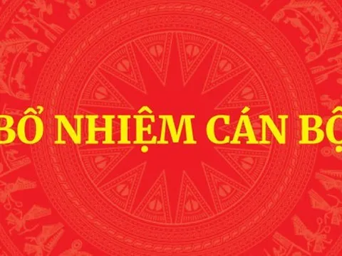 Bộ Chính trị, Ban Bí thư chỉ định Bí thư Tỉnh ủy sau sáp nhập