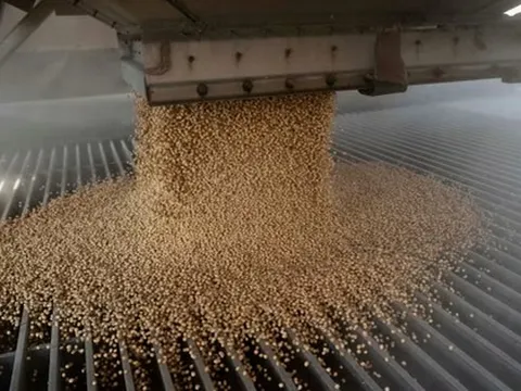 Trung Quốc 'quay lưng' dừng nhập khẩu, Mỹ lập tức tìm thấy ‘cứu tinh’ cho mặt hàng then chốt, nhu cầu hơn 3 triệu tấn mỗi năm