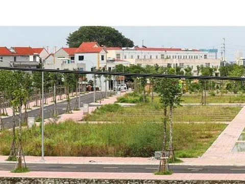 Hà Nội: Giao hơn 38.500m2 đất để triển khai dự án Sunshine Grand Capital