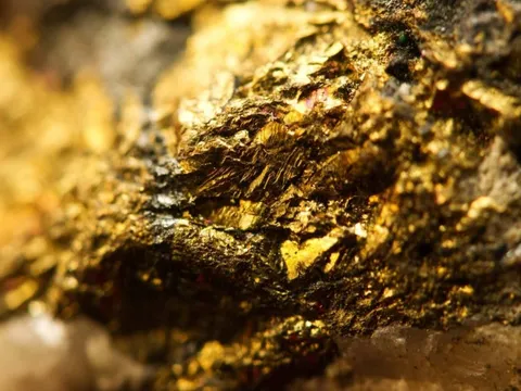 Anh nông dân phát hiện 150 tấn vàng khi đi thăm đồng