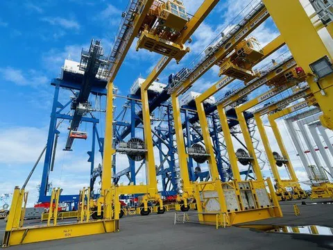 Lãnh đạo Cảng Đà Nẵng nói gì khi lượng tiền mặt lớn?