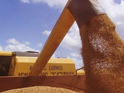 Trung Quốc dừng nhập khẩu một loại nông sản quan trọng, Mỹ ngay lập tức tìm ra 'cứu tinh' mới: Từng nhập khẩu 80% từ Mỹ, sản lượng không theo kịp nhu cầu