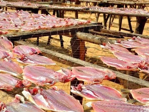 Một ‘mỏ vàng’ của Việt Nam được Mỹ, Trung Quốc đua nhau săn lùng: Thu về hơn 400 triệu USD kể từ đầu năm, gần 2/3 thế giới đã ‘chốt đơn’