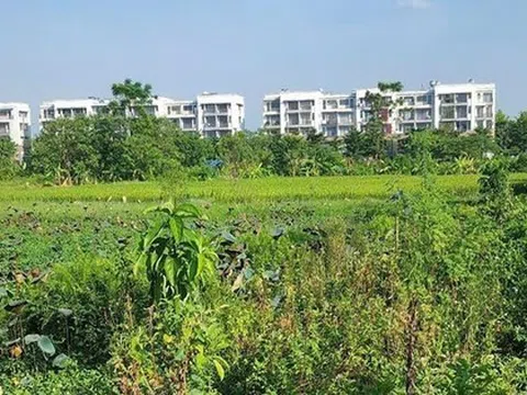 Vĩnh Phúc thu hồi gần 1,1ha đất của 14 hộ để làm dự án đô thị