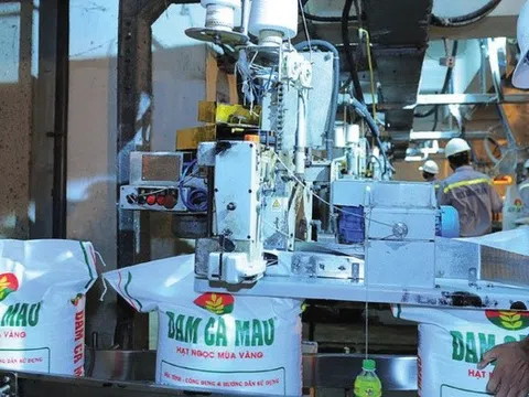 Đạm Cà Mau hoàn thành hơn 50% kế hoạch lợi nhuận năm sau quý I/2025