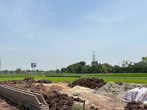 Hà Nội: Để xảy ra vi phạm về đất đai, 2 chủ tịch xã bị tạm đình chỉ
