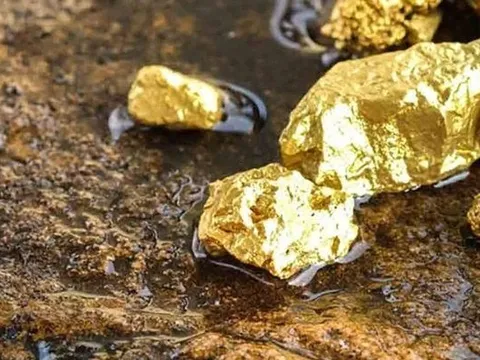 Việt Nam phát hiện 420 kg vàng tại một tỉnh miền núi