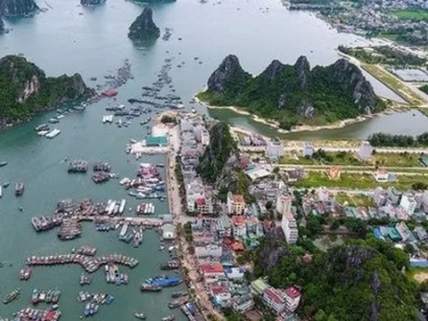 Quảng Ninh báo tin vui