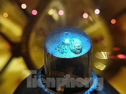 Tận mắt thấy Xá lợi Đức Phật lần đầu về Việt Nam