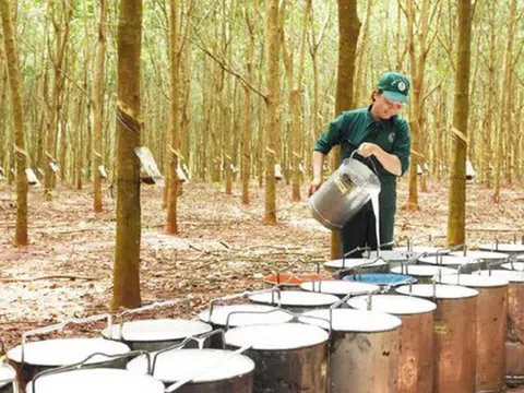 Trung Quốc mua hàng triệu tấn 'vàng trắng' để theo đuổi giấc mơ xe điện, nhưng lại giảm nhập từ Việt Nam