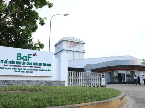 Không còn doanh thu nông sản, BAF vẫn lãi lớn nhờ nuôi heo