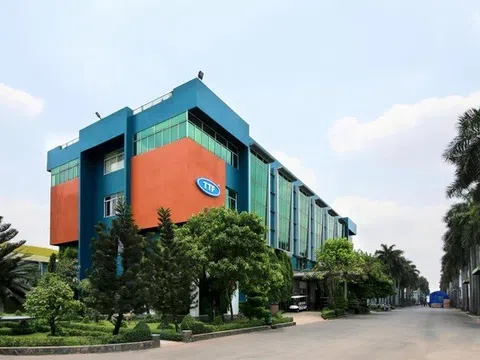 Lợi nhuận Gỗ Trường Thành đến từ đâu khi doanh thu “bốc hơi” gần một nửa?