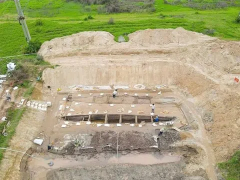 Cải tạo đất để nuôi cá, người dân Việt Nam phát hiện vật lạ dài 17m, chuyên gia xác nhận báu vật chưa từng thấy trên thế giới