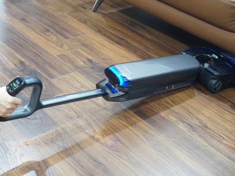 'Cây lau nhà' giá 17 triệu đồng