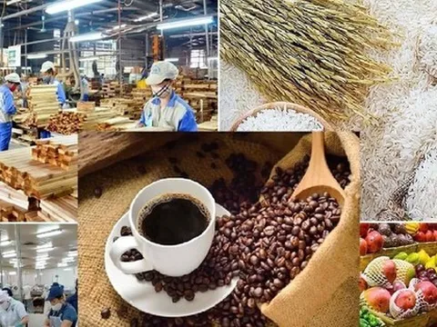 Lộ diện 'ngôi sao' sáng nhất của nông sản Việt Nam