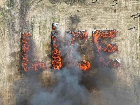 Cảnh sát đốt 20 tấn cần sa, khói bốc lên khiến cư dân cả thị trấn bị ảo giác