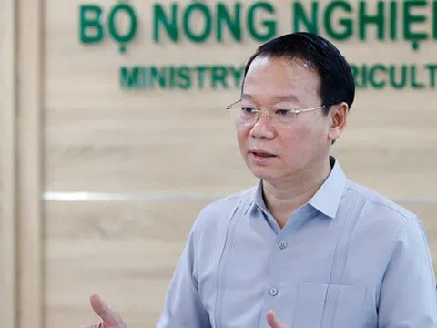 Xuất khẩu sầu riêng sang Trung Quốc sụt giảm nghiêm trọng, Bộ Nông nghiệp và Môi trường họp bàn