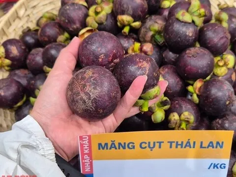 Điều gì khiến trái cây Thái Lan dần biến mất tại Việt Nam?