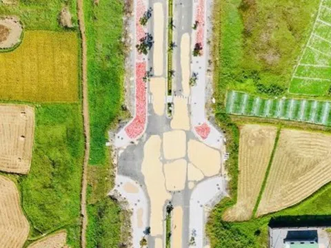 Đường hơn 34 tỷ nối Quốc lộ 1A ra giữa đồng, làm xong chỉ để phơi nông sản