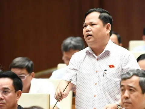 Ngành điện rất thua lỗ, sao vẫn cứ độc quyền?