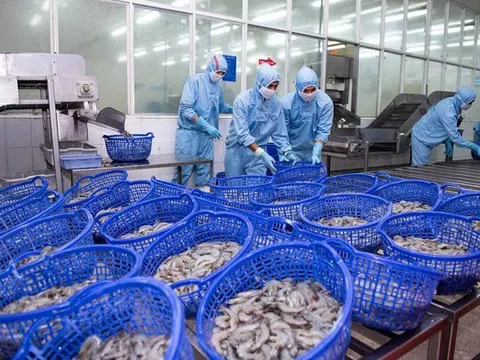 Ngành thủy sản quý I/2025: Sóng phục hồi đã nổi