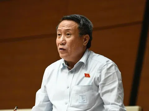 Vi phạm nhỏ, doanh nhân có thể được tại ngoại