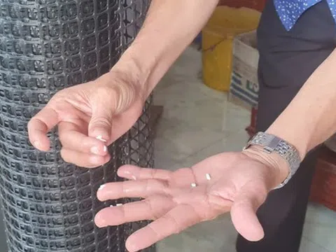 Phát hiện ‘gạo lạ’ ở Hậu Giang
