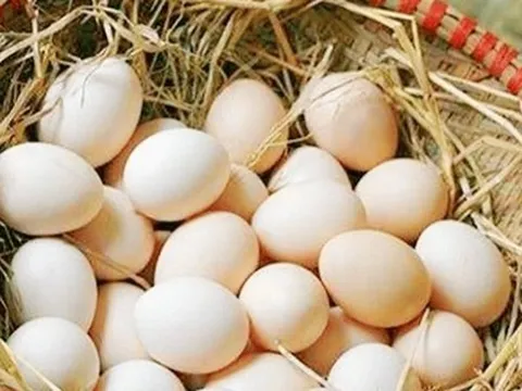 Thực hư thông tin trứng gà ‘lạ’