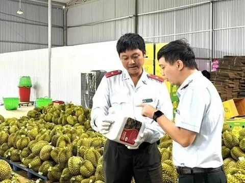 Bất ngờ thông tin sầu riêng nhiễm chất cấm