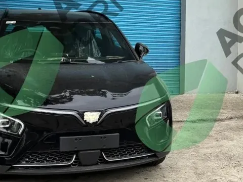 Cặp xe VinFast đã đến nước đông dân nhất thế giới: Màu sơn 'không dành để bán', tiết lộ điều gì?