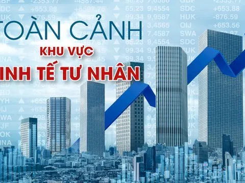 Toàn cảnh khu vực kinh tế tư nhân