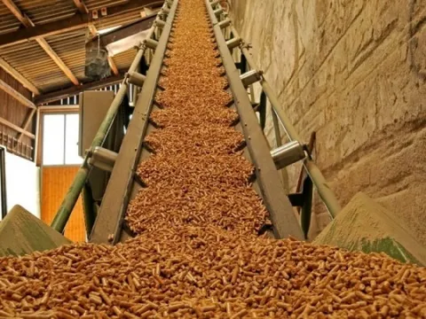 Thứ người Việt từng xem là phế phẩm, nay thành "mỏ vàng" xuất khẩu: Tiềm năng kiếm tỷ USD