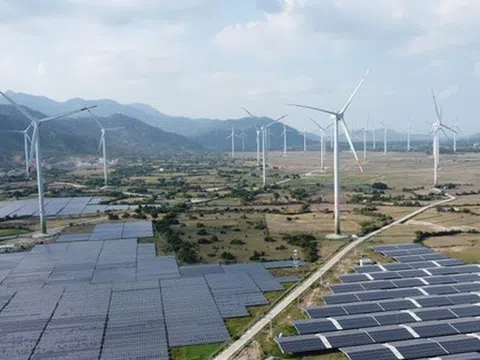 Loạt dự án năng lượng tái tạo ở Ninh Thuận 'lụt' tiến độ