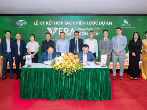 SGO Land - Tổng đại lý phân phối độc quyền Vera Diamond City của Vinaconex