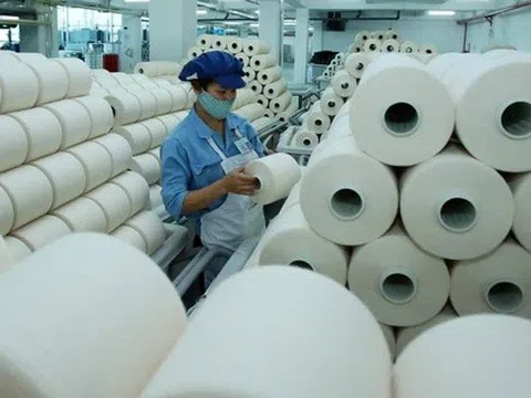 Lãnh đạo Sợi Thế Kỷ muốn ‘gom’ 7 triệu cổ phiếu STK